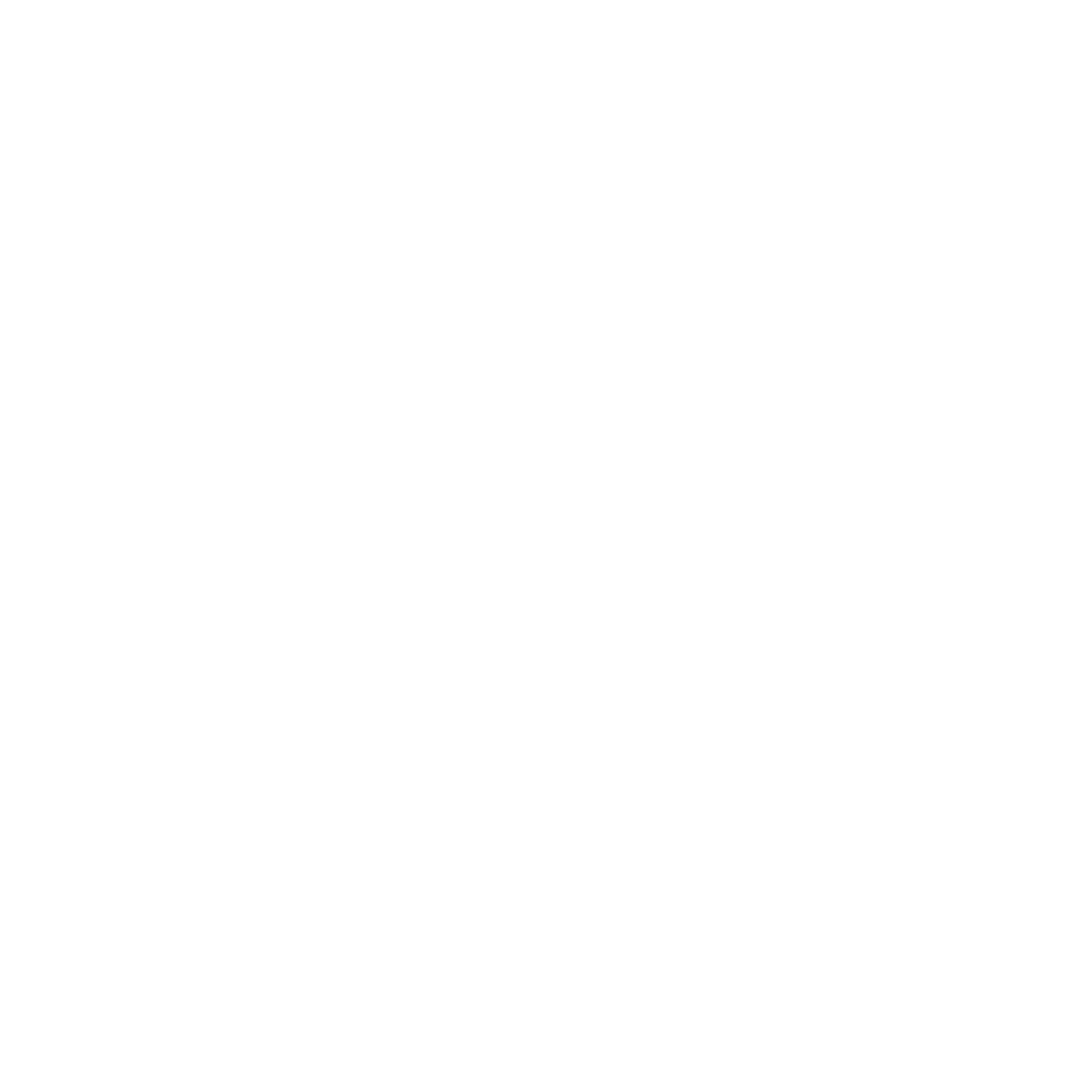 NATIONAL BANK OF EGYPT NATIONAL BANK OF EGYPT