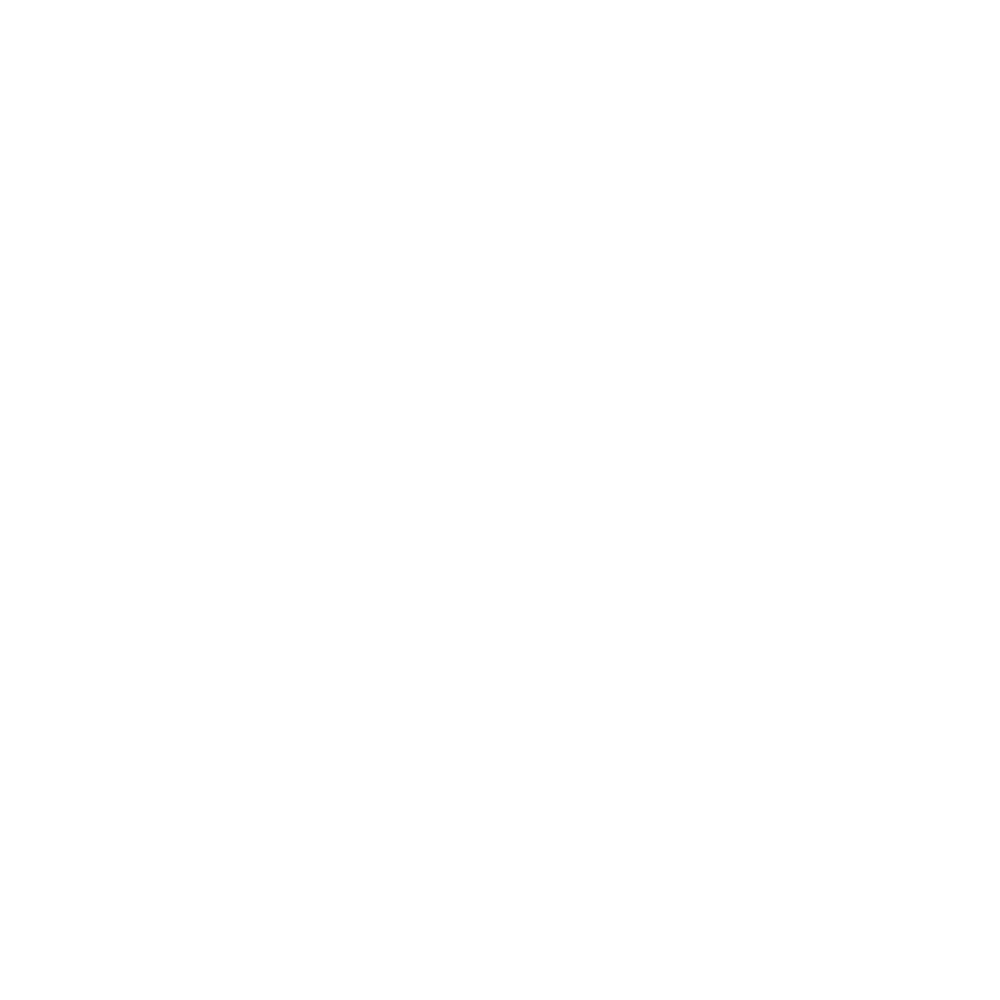 RA'A INFORMATION TECHNOLOGY RA'A INFORMATION TECHNOLOGY